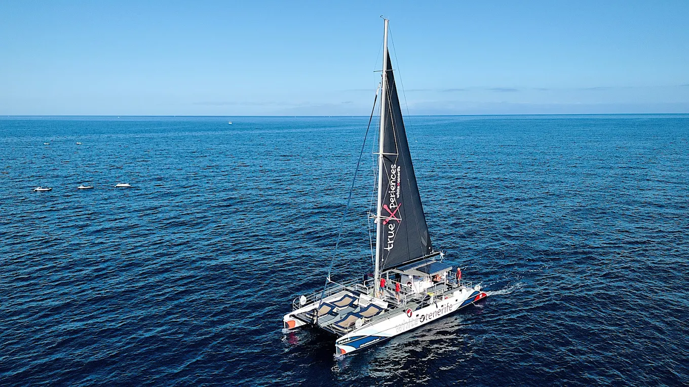 White Paradise - Immagine 5