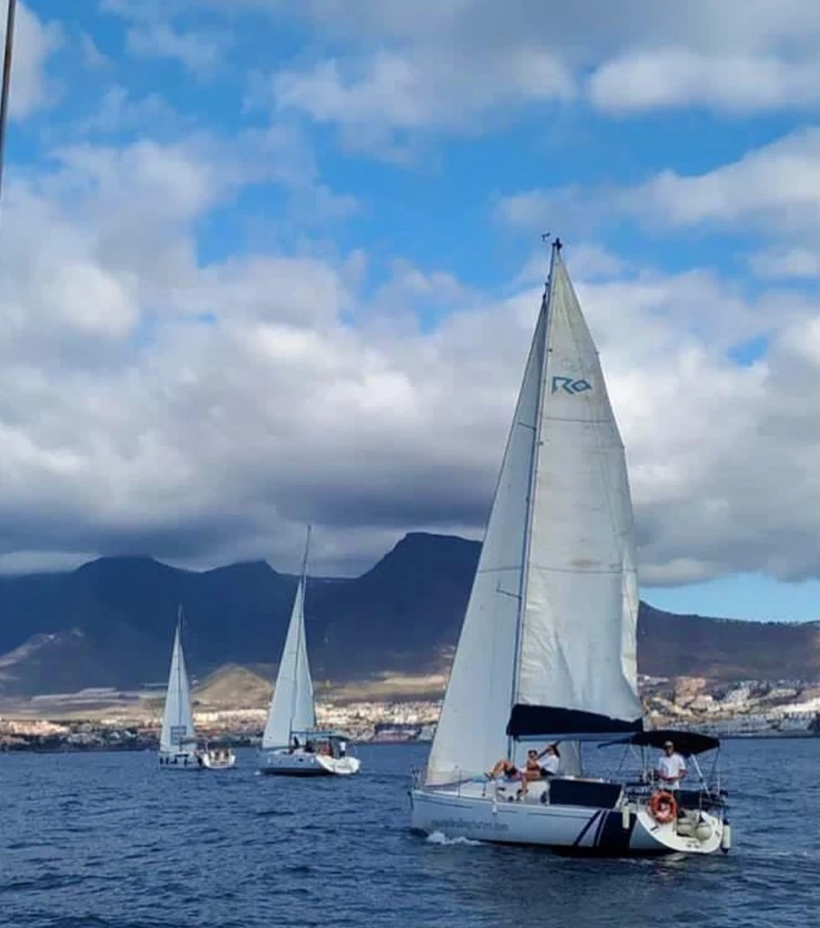  Sailing Yacht - Immagine 5