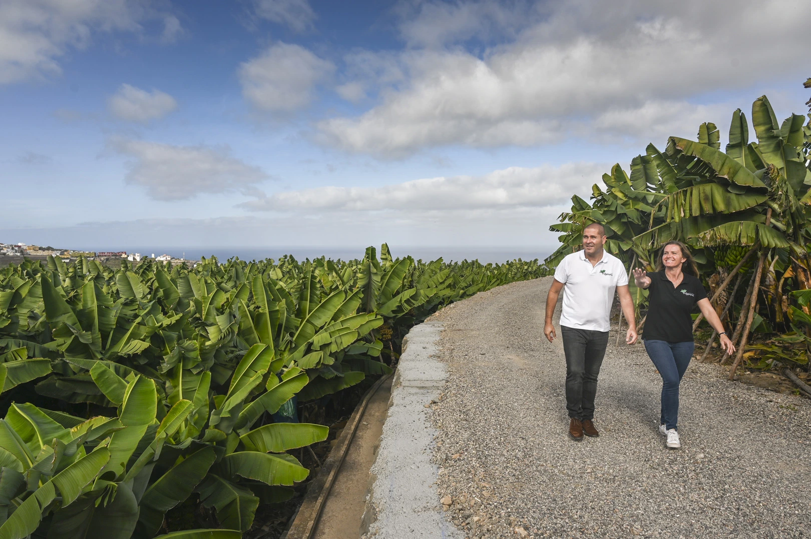 Banana Museum & Tasting in Gran Canaria - Immagine 3